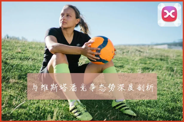 与维斯塔潘竞争态势深度剖析