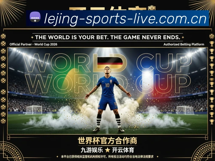 未来规划